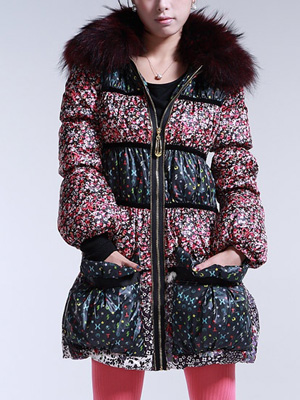 2011¿NANGUOXISHIԵ С黨 ޷